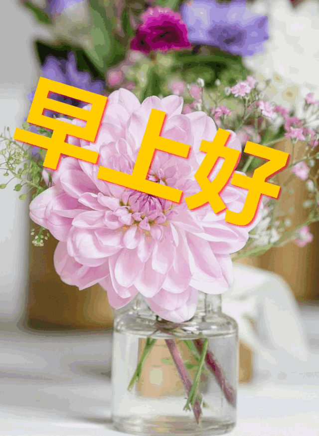 标题:高效短信群发器下载,助力企业沟通无障碍 标题:高效短信群发器下载,助力企业沟通无障碍